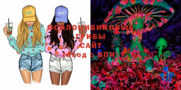 МДПВ Верея