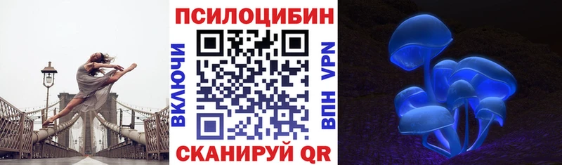 купить наркотики сайты  Зима  Галлюциногенные грибы Psilocybine cubensis 